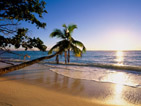 Summer wallpapers46